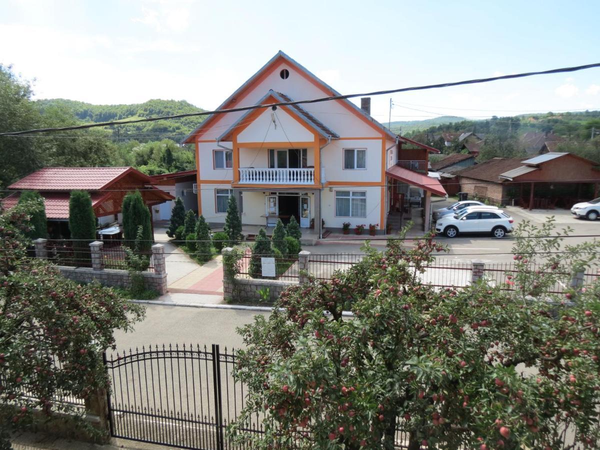 Pensiunea Cetina Brad  Dış mekan fotoğraf