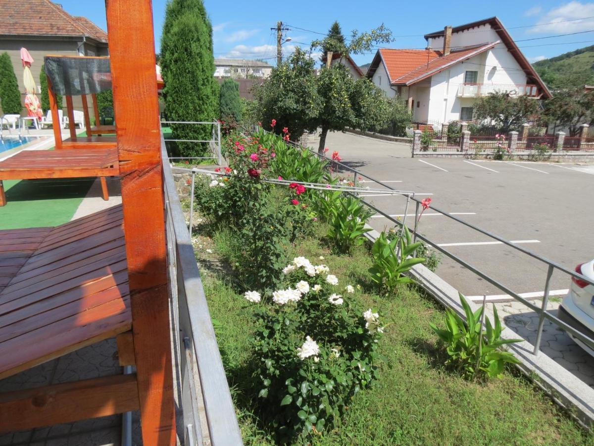 Pensiunea Cetina Brad  Dış mekan fotoğraf