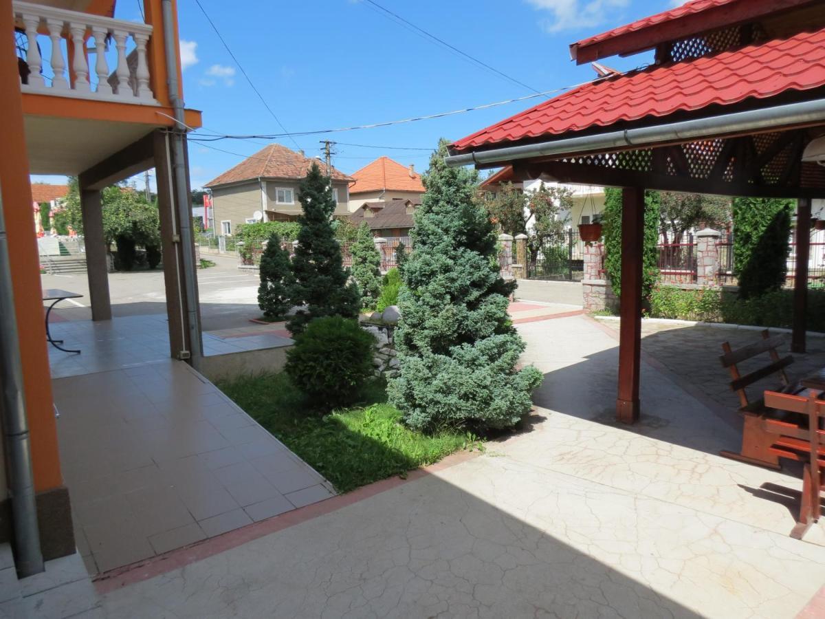 Pensiunea Cetina Brad  Dış mekan fotoğraf