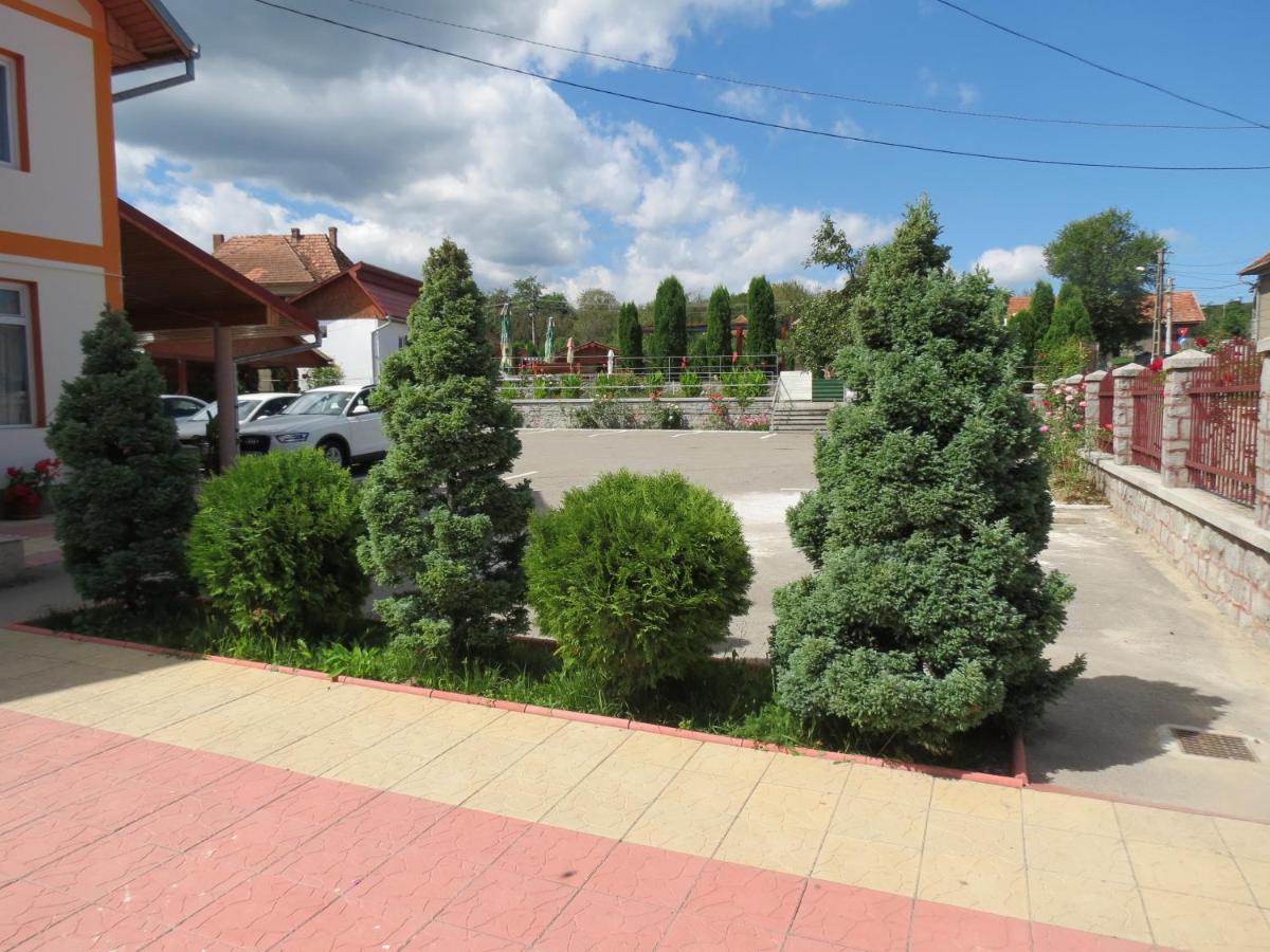 Pensiunea Cetina Brad  Dış mekan fotoğraf