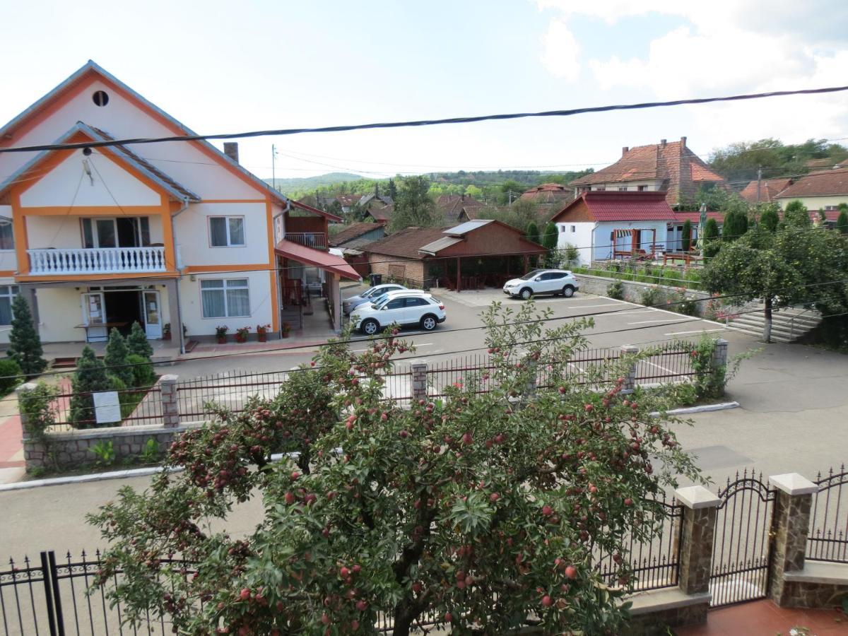 Pensiunea Cetina Brad  Dış mekan fotoğraf